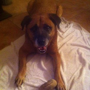 Meet your Posher, Maria